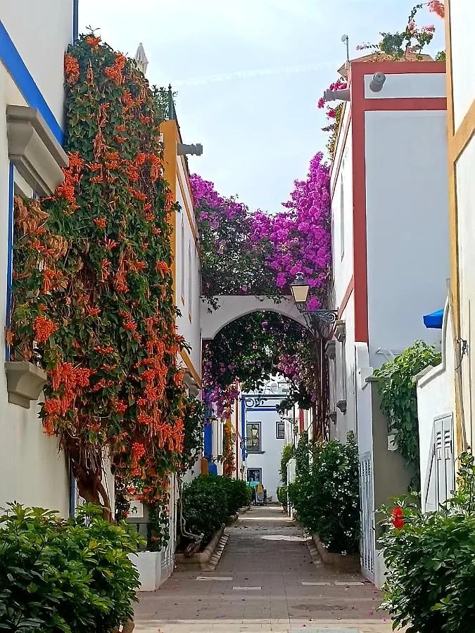 Apartment Casa Little Venice In Puerto De Mogan