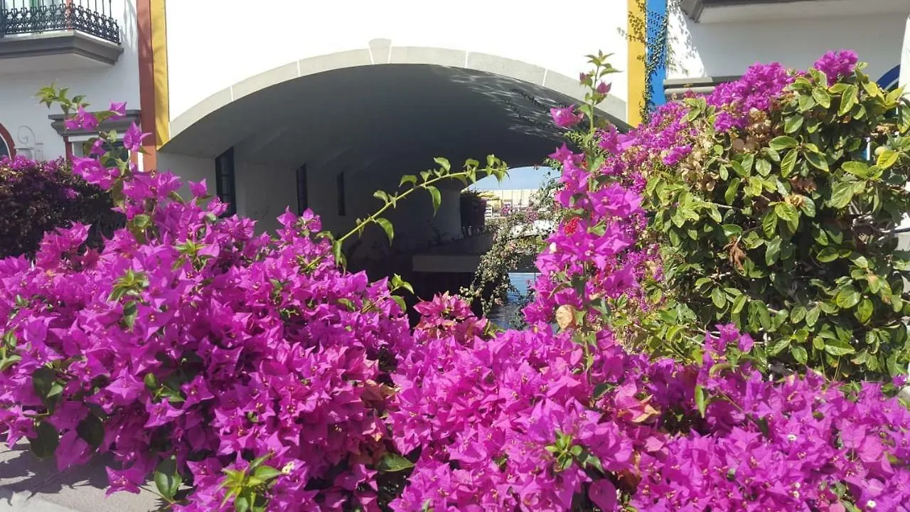 Casa Little Venice In Puerto De Mogan contacts