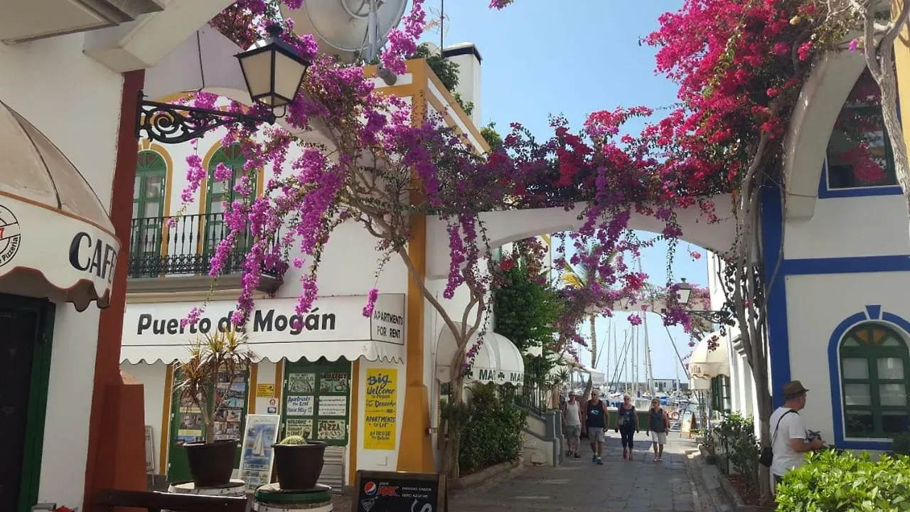 Casa Little Venice In Puerto De Mogan Apartment